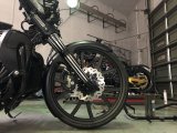 26x3.5 Torque カーボンホイール バガー