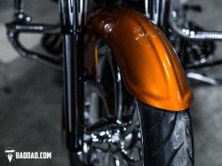 画像2: Baddad Competition Wrap Fender 23インチ 86-2013年用