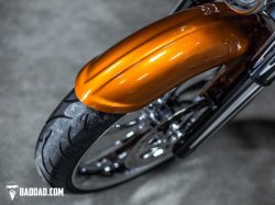 画像3: Baddad Competition Wrap Fender 23インチ 86-2013年用