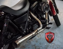 画像6: アサルト2-1エグゾースト07-2017年 ダイナシリーズ