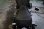 画像6: SADDLEMEN ヘルズダウン ソロシート 06年以降のダイナ用(背の低い方向けのシート）
