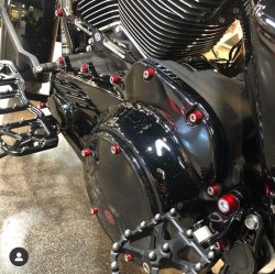 画像4: CHACHOS  カラービレットカバーエンジンボルトキット M8用