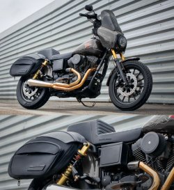 画像2: SADDLEMEN DXT サドルバック96-2017年ダイナ用