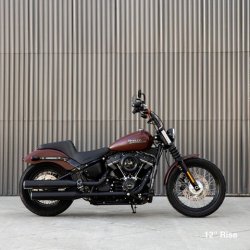 画像5: BILTWELL MURDOCK OS 1-1/8インチハンドル用 12インチプルバックライザー