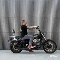 画像12: BILTWELL MURDOCK 1インチハンドル用プルバックライザー