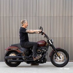 画像7: BILTWELL MURDOCK OS 1-1/8インチハンドル用 14インチプルバックライザー