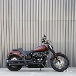 画像6: BILTWELL MURDOCK OS 1-1/8インチハンドル用 8インチプルバックライザー