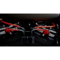 画像6: TAYLOR 10.4mm プロスパークプラグコード 2018年以降ソフテイル用(全3色)