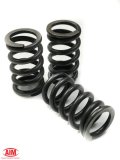 AIM Performance Clutch Coil Spring Kit for A&S Clutch