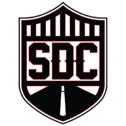 画像3: SDC バックレストシート用パッチ