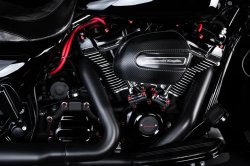 画像6: CHACHOS  カラービレットカバーエンジンボルトキット ブラックボルトM8用