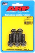 ARP Black Oxide ボルト 3/8˝-16 1.000˝ 5個セット　