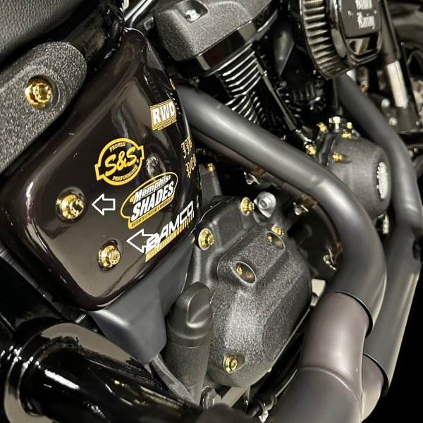 M8ソフテイル サイドカバーボルトキット Bamco Motorsports M8ソフテイル用