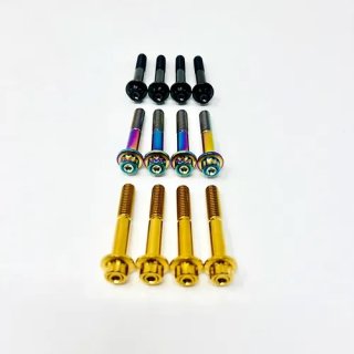 2-1 Super Bike System FLSB/FXLRST BASSANI ソフテイル用