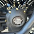 画像4: M8 ツーリングモデル エンジン&ミッションARP ステンレスボルトキット （セット割） (4)