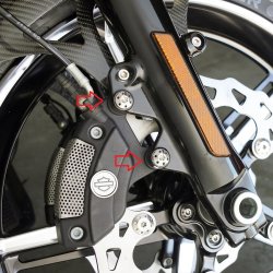 画像5: Ness チタンフロントキャリパーマウントボルトキット