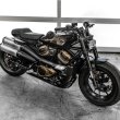 画像1: プロファイラーシート  RH1250 スポーツスターS (1)