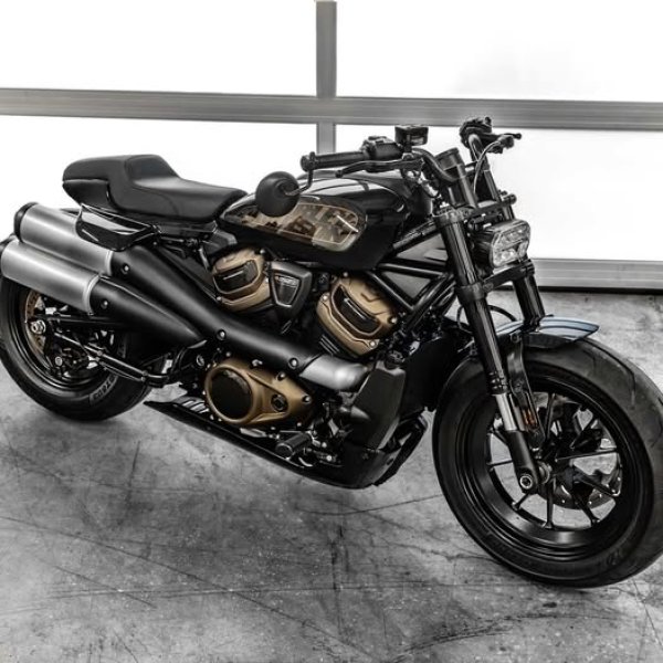 画像1: プロファイラーシート  RH1250 スポーツスターS (1)