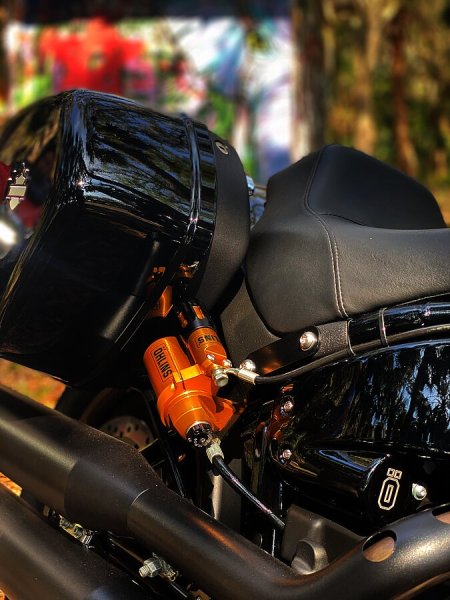画像1: Ohlins 13.5インチ STX パフォーマンスショック (1)