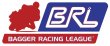 画像4: Hoppe BRLレーシングコレクション アンダーパネル (4)
