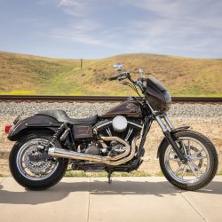 画像6: プロシリーズ Thrashin' ステップアップシート タックロール  06年以降のダイナ用