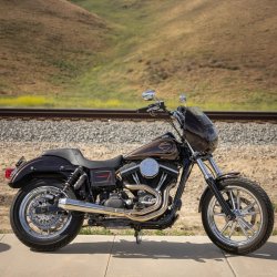 画像6: プロシリーズ Thrashin' ステップアップシート  06年以降のダイナ用