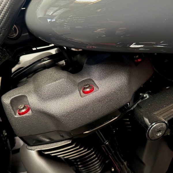 画像1: ARP CNC M8ロッカーボックス用ワッシャーキット (1)