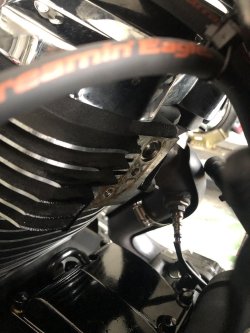 画像7: チタニウム 2-1 マフラー M8 ソフテイル用