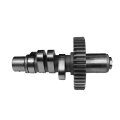 Wood Knight Prowler  W-8 Evo cam 