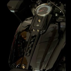 画像1: ファットボーイダッシュパネル ARP ステンレスボルトキット 