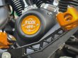 画像1: M8 ポイントカバー 2017-2023年用 (1)
