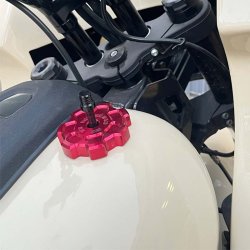 画像9: 7スポークガスキャップ