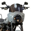画像1: DOT LP6 コンプリートキット FXLRS用（メンフィスロードウォリアーカウル装着車専用） (1)
