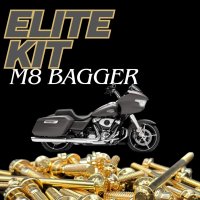 M8 ツーリング用 ARP ステンレスボルトエリートキット 