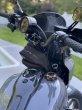 画像3: デストロイヤーライザー用ゲージマウント (3)
