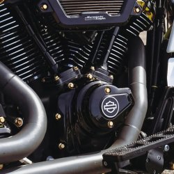 画像1: M8 カムカバー ARP ステンレスボルトキット 