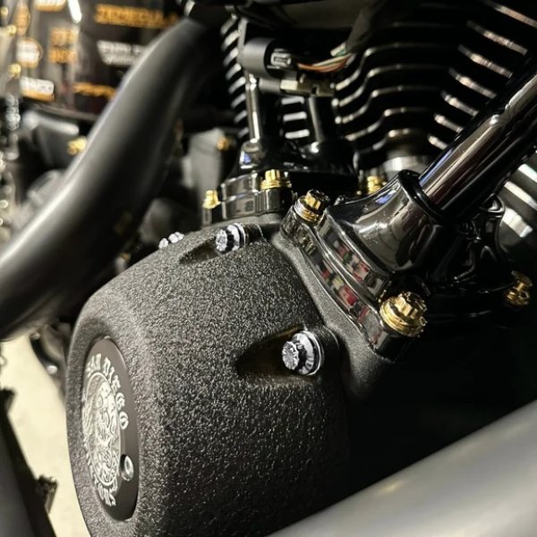 画像1: TC プッシュロッド ARPボルトキット (1)