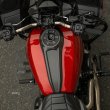 画像3: Neesカーボン コンプリートキット 23.5 CVO + 24 ツーリング用 (3)