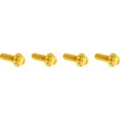 画像2: トランスミッショントップカバー用チタン製12ポイントボルトキット 全3色 (2)