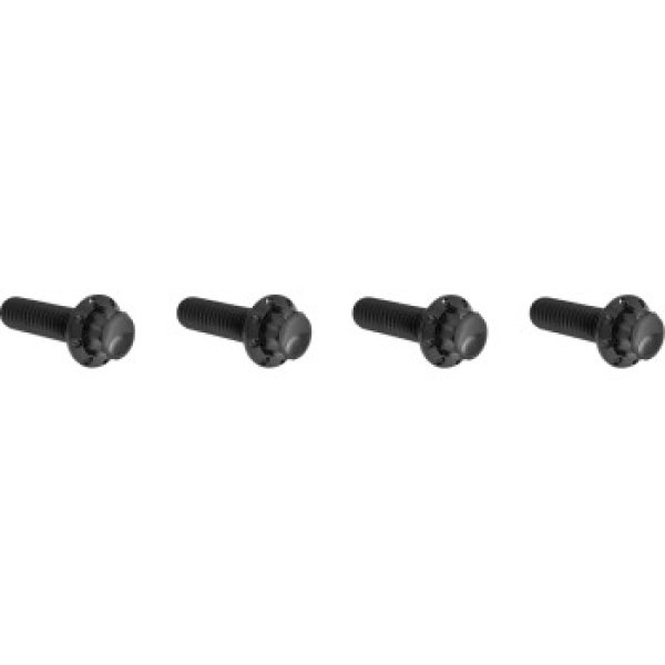 画像3: トランスミッショントップカバー用チタン製12ポイントボルトキット 全3色 (3)