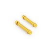 画像1: 12ポイント・フットペグ用チタン製ボルトキット 全3色 (1)