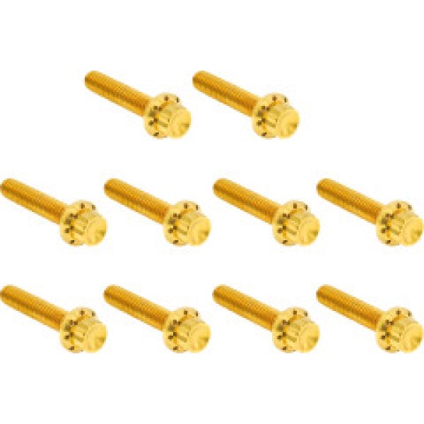 画像2: ツインカム カムカバー用チタン製12ポイントボルトキット 全3色 (2)