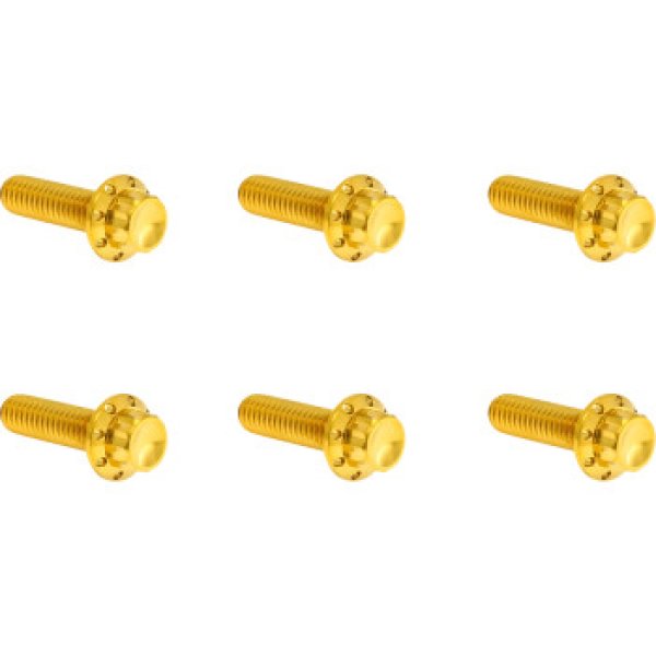 画像4: トランスミッショントップカバー用チタン製12ポイントボルトキット 全3色 (4)