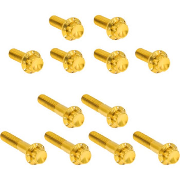 画像4: ロッカーボックス用チタン製12ポイントボルトキット 全3色 (4)
