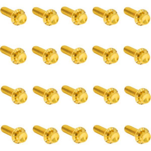 画像7: ロッカーボックス用チタン製12ポイントボルトキット 全3色 (7)