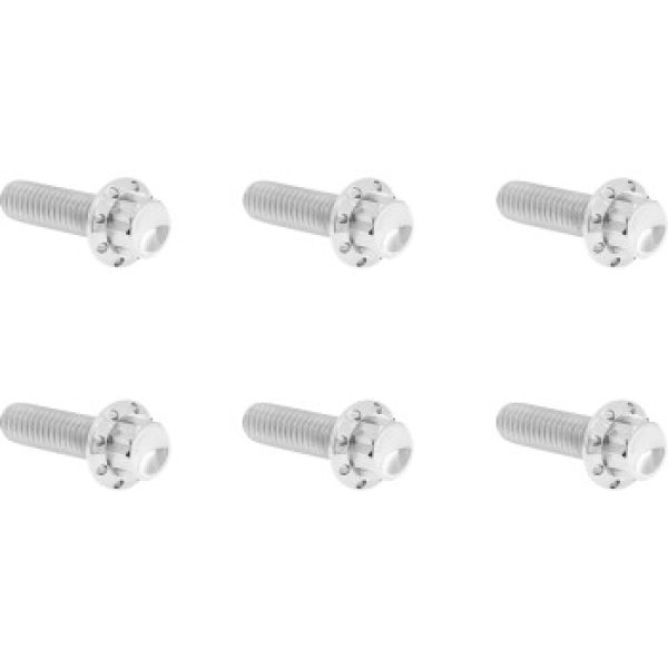 画像6: トランスミッショントップカバー用チタン製12ポイントボルトキット 全3色 (6)