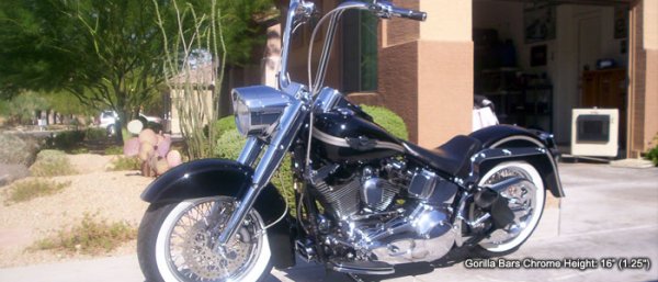 画像3: BURLY BRAND 16インチ ゴリラエイプ (3)