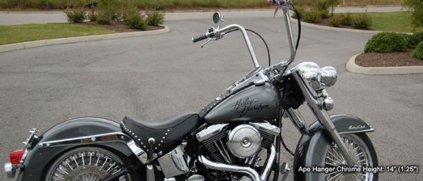 画像3: BURLY BRAND 14インチ ゴリラエイプ (3)