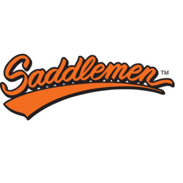 画像3: HD純正トライク用フェンダーブラキット (3)