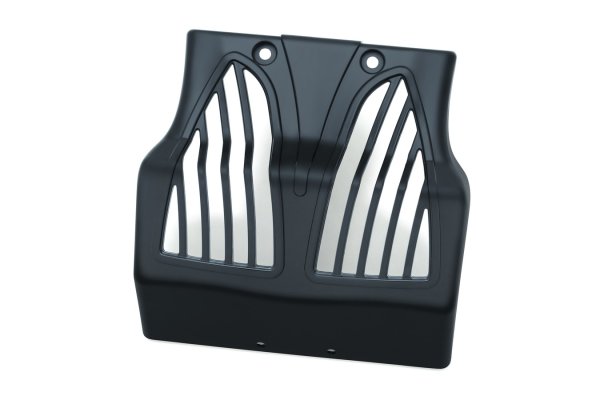 画像3: チンフェアリング  (3)